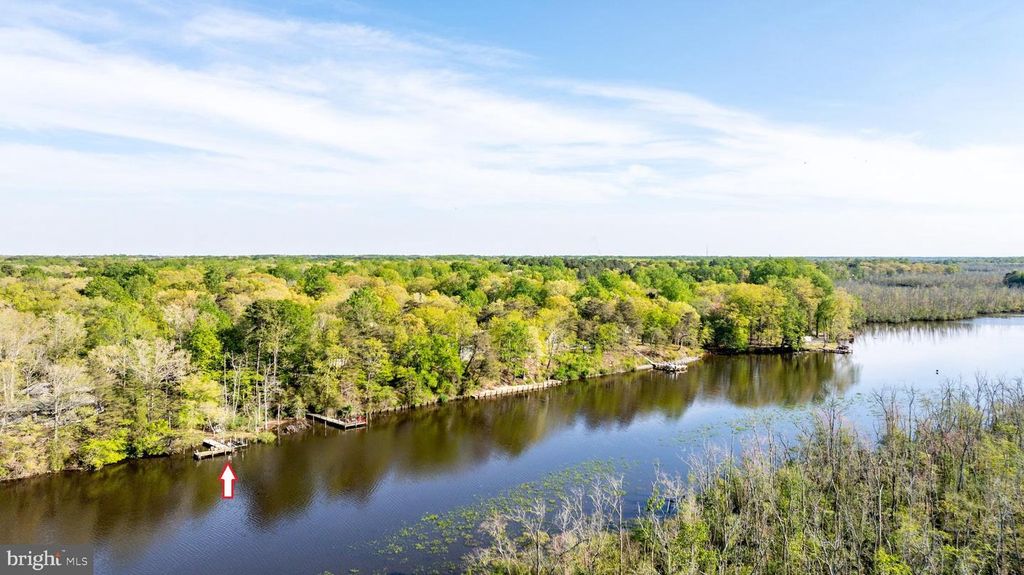 Image 18 of property listing at 25305 SANDY POINT RD, Greensboro, MD 21639