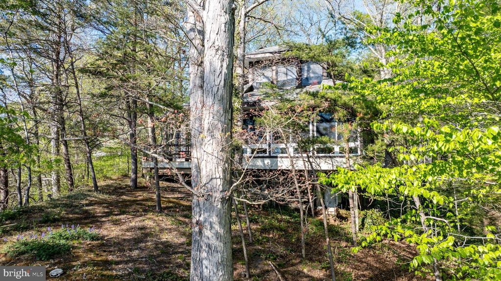 Image 23 of property listing at 25305 SANDY POINT RD, Greensboro, MD 21639