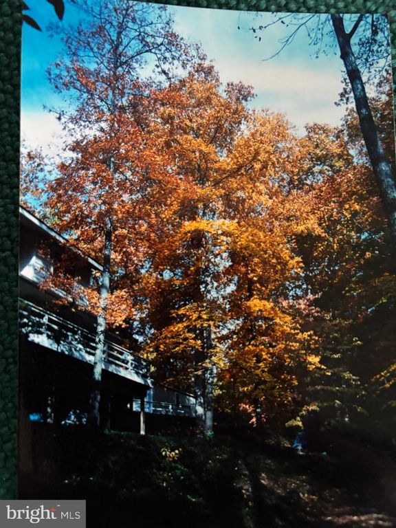 Image 25 of property listing at 25305 SANDY POINT RD, Greensboro, MD 21639