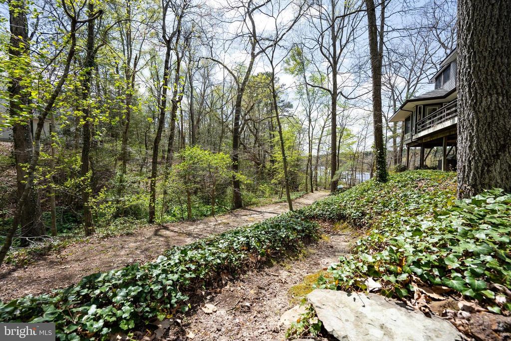 Image 34 of property listing at 25305 SANDY POINT RD, Greensboro, MD 21639