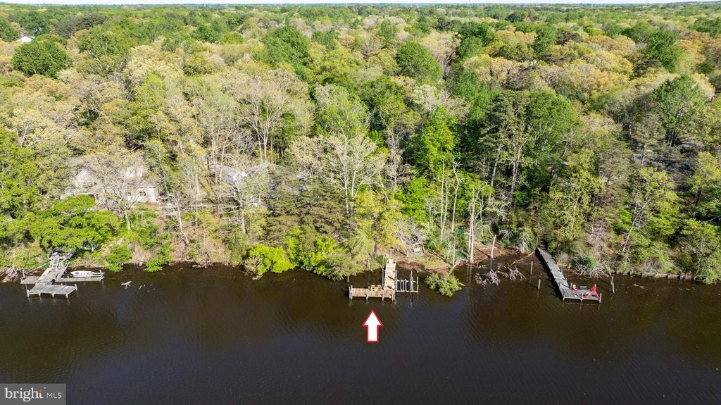 Image 4 of property listing at 25305 SANDY POINT RD, Greensboro, MD 21639