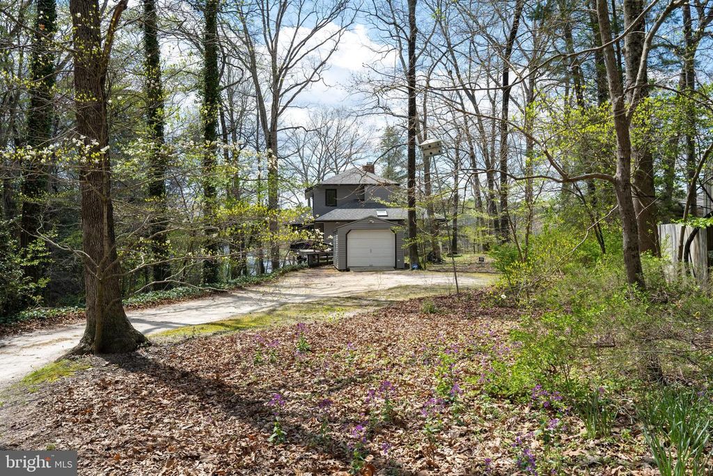 Image 48 of property listing at 25305 SANDY POINT RD, Greensboro, MD 21639