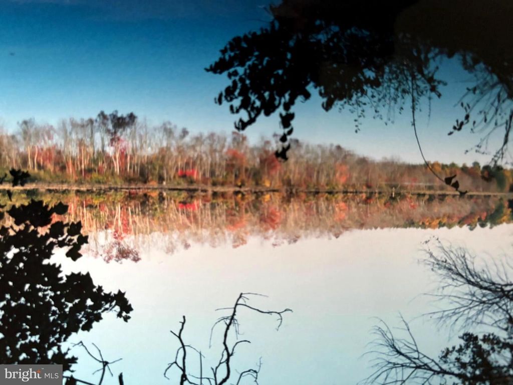 Image 7 of property listing at 25305 SANDY POINT RD, Greensboro, MD 21639