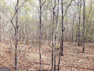 2697 Irwinton Road, Milledgeville, GA 31061
