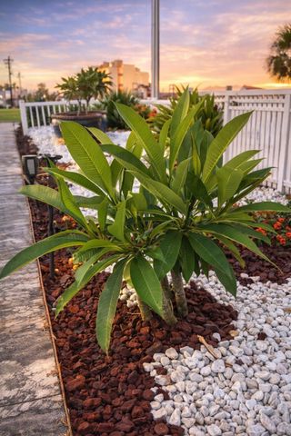 431 Hana Drive, Tiki Island, TX 77554