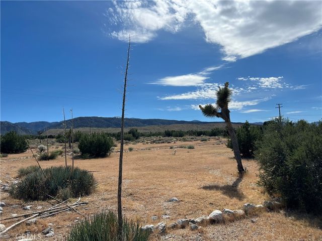 30837 235th E, Llano, CA 93544