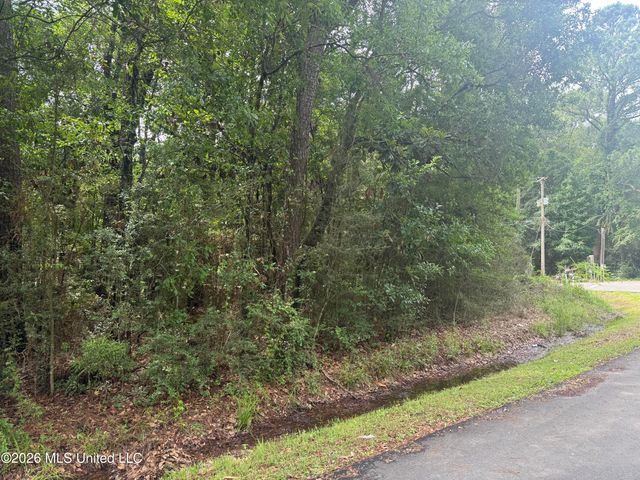 Lundy Williams Road, Moss Point, MS 39562