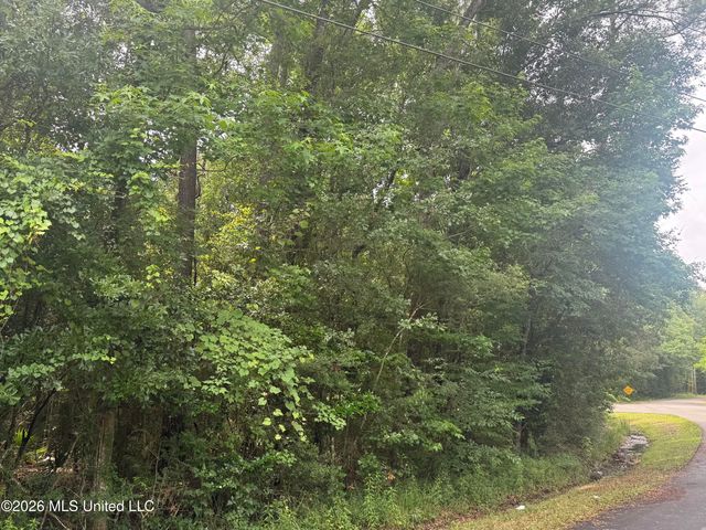 Lundy Williams Road, Moss Point, MS 39562