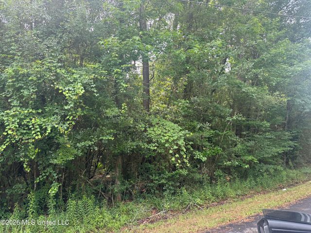 Lundy Williams Road, Moss Point, MS 39562