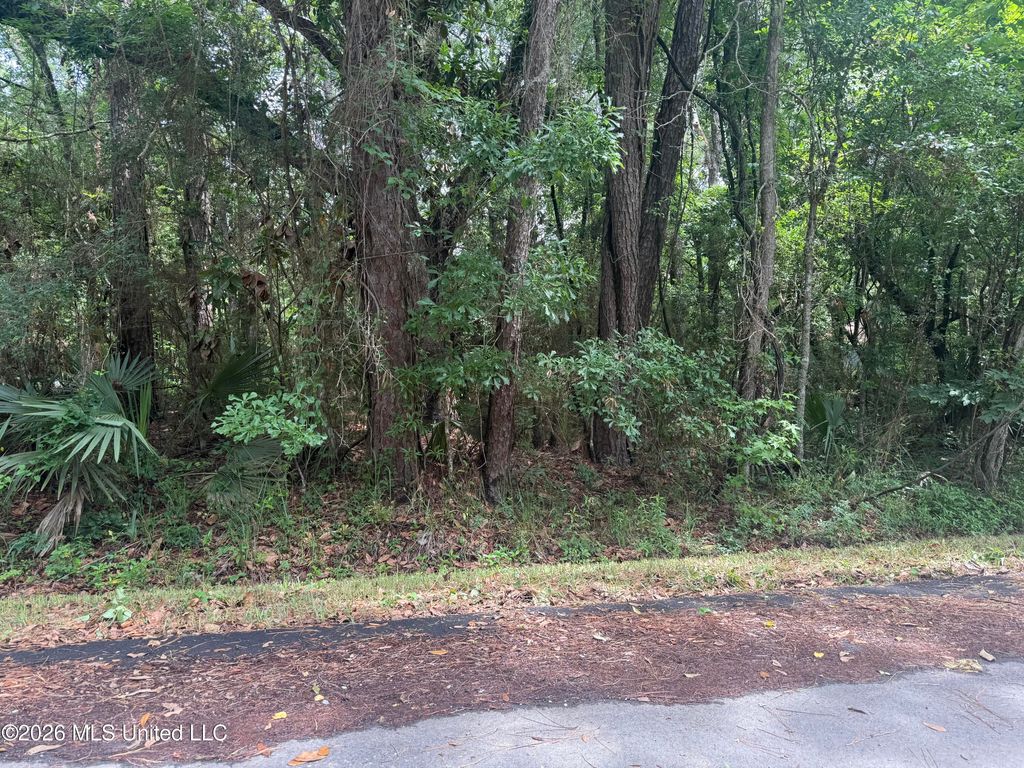 Lundy Williams Road, Moss Point, MS 39562