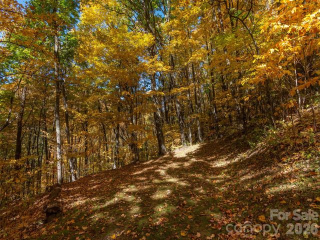 0 Legend Road 18, Waynesville, NC 28786