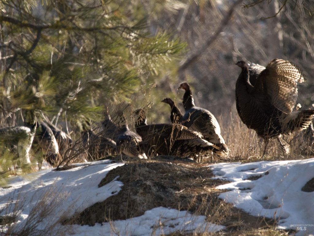 Blk 10 Lot 13 Whitewater Way, Garden Valley, ID 83622 photo 23