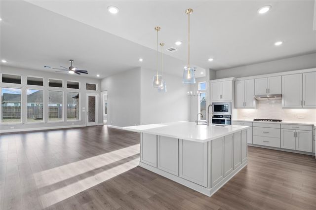 17020 Sweet Iris Court, Conroe, TX 77302