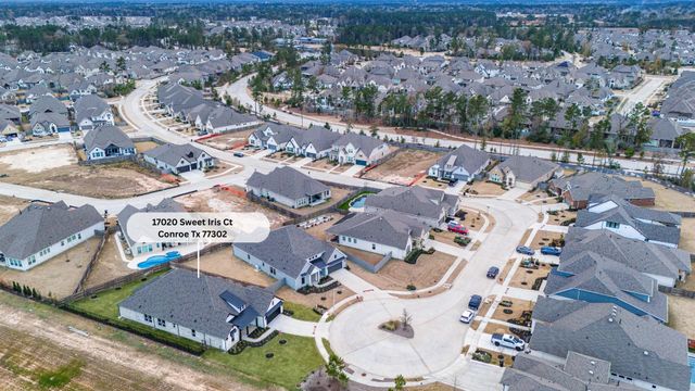 17020 Sweet Iris Court, Conroe, TX 77302