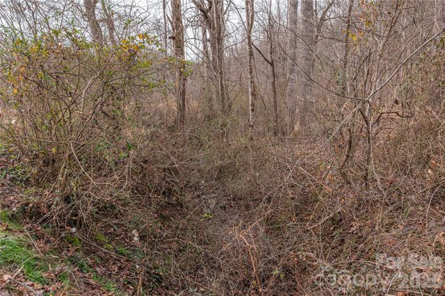 00 Carver Mountain Valley, Sylva, NC 28779