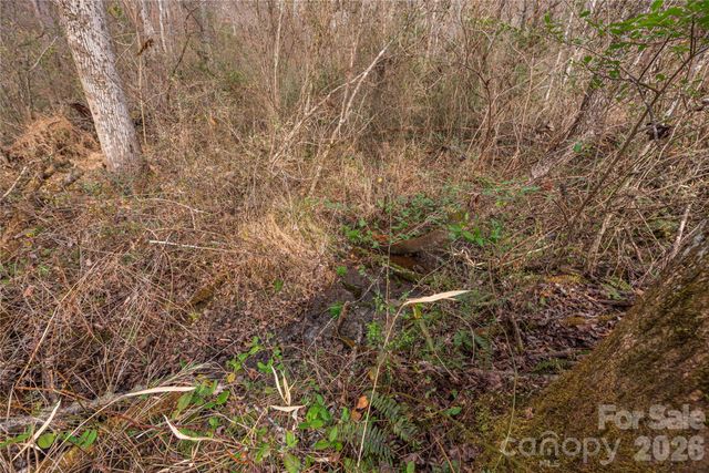 00 Carver Mountain Valley, Sylva, NC 28779