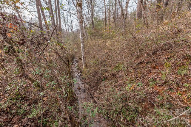 00 Carver Mountain Valley, Sylva, NC 28779