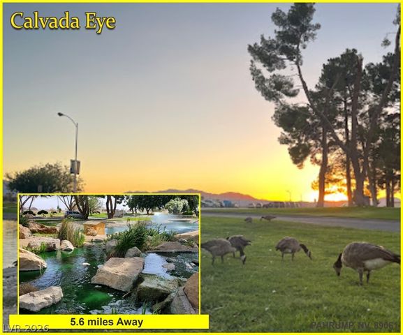 4650 Manse Road, Pahrump, NV 89061