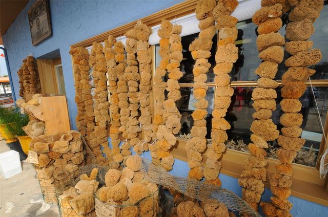 494 VILLAGE DRIVE, Tarpon Springs, FL 34689