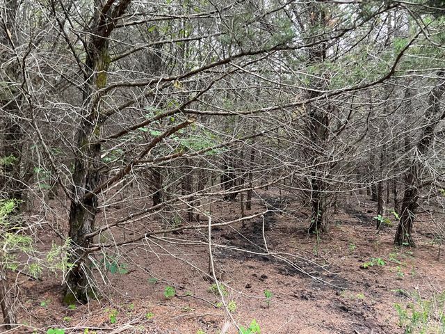 24200 County Road, Roxton, TX 75477