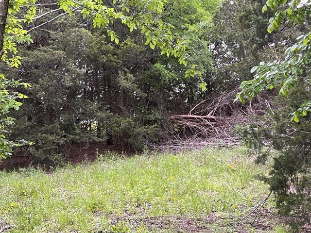 24200 County Road, Roxton, TX 75477