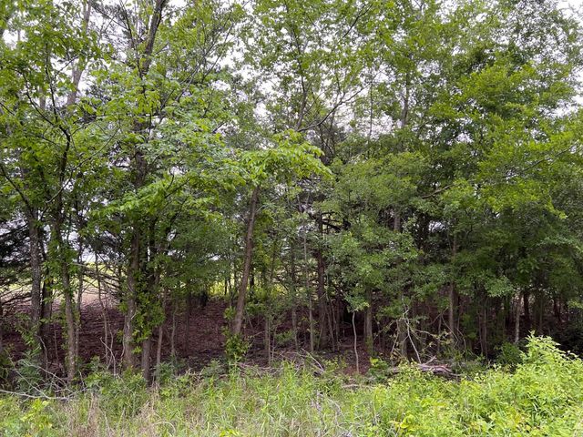 24200 County Road, Roxton, TX 75477