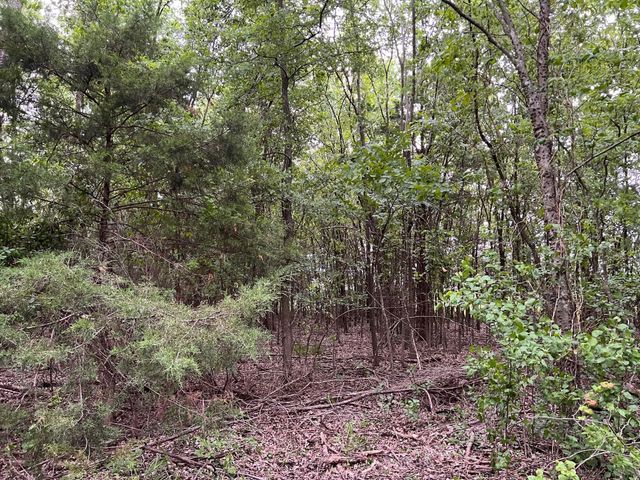 24200 County Road, Roxton, TX 75477