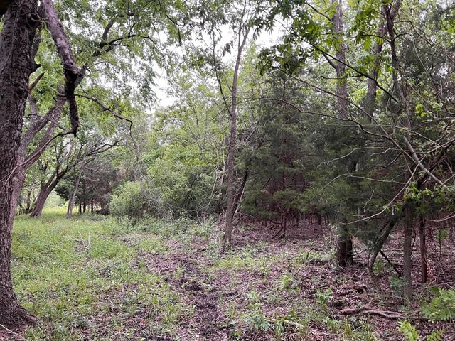 24200 County Road, Roxton, TX 75477