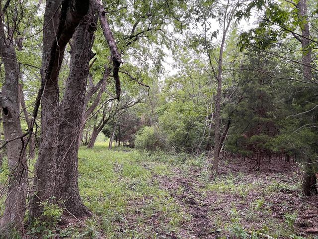 24200 County Road, Roxton, TX 75477