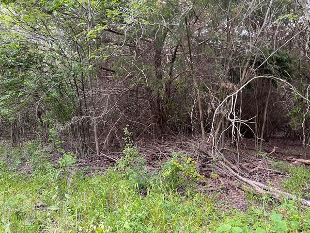 24200 County Road, Roxton, TX 75477