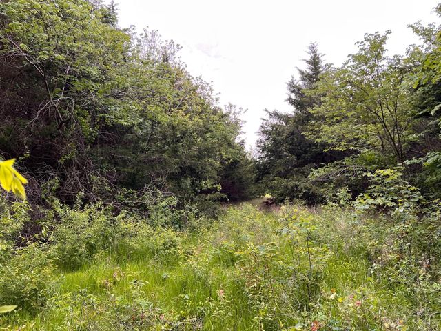 24200 County Road, Roxton, TX 75477