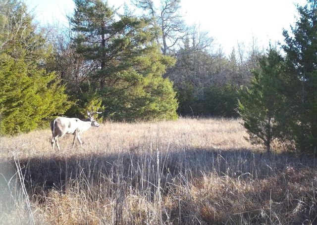 24200 County Road, Roxton, TX 75477