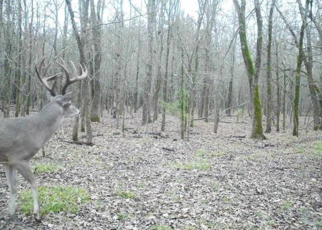 24200 County Road, Roxton, TX 75477