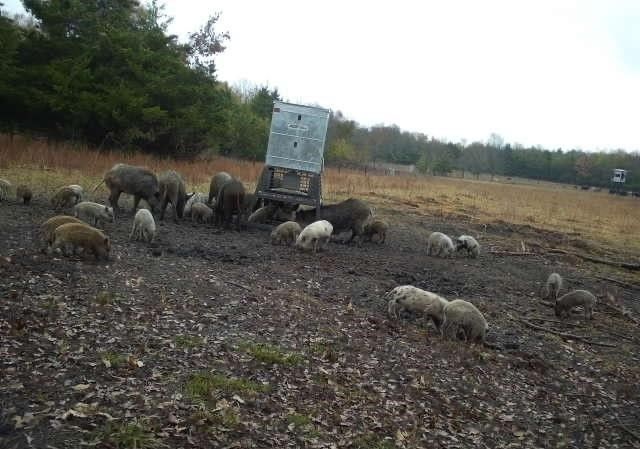 24200 County Road, Roxton, TX 75477