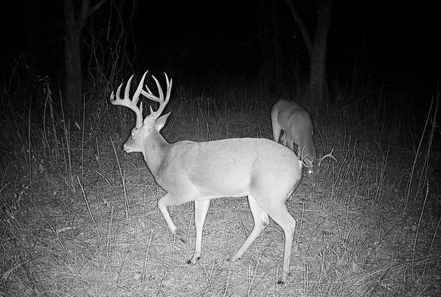 24200 County Road, Roxton, TX 75477