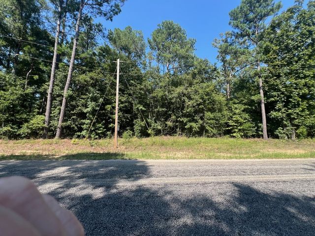 203 Pebble Cove Rd, Abbeville, AL 36310