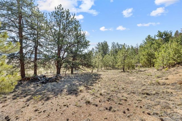 2120 Oxford Drive, Hartsel, CO 80449