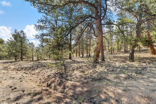 2120 Oxford Drive, Hartsel, CO 80449