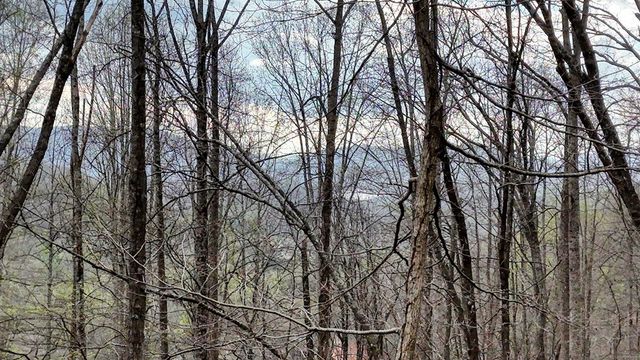 2900 Gribble Edwards Road, Hayesville, NC 28904