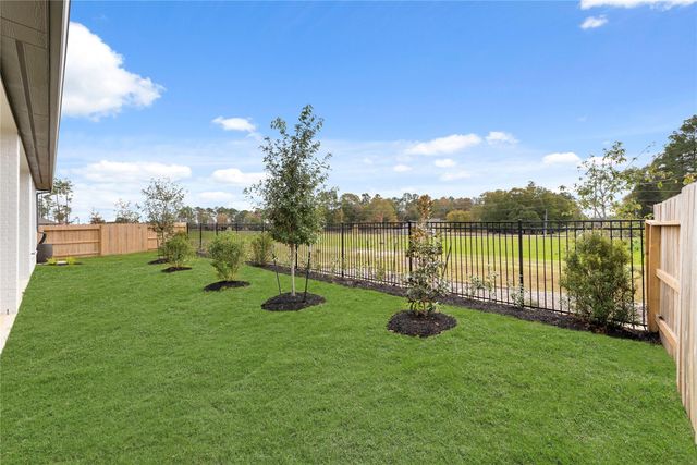 15822 Tortoise Passage Lane, Conroe, TX 77302