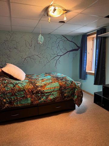 24743 N Wall Lake Drive, Fergus Falls, MN 56537