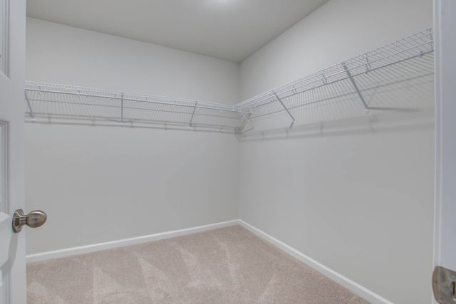 142 Paddle Boat Way, Summerville, SC 29485