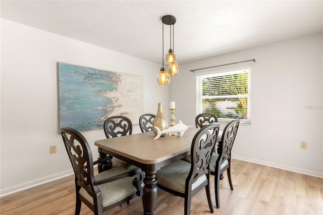 297 MONTE CRISTO BOULEVARD, Tierra Verde, FL 33715