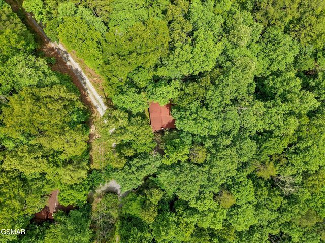 4164 Lumber Jack Way, Sevierville, TN 37876