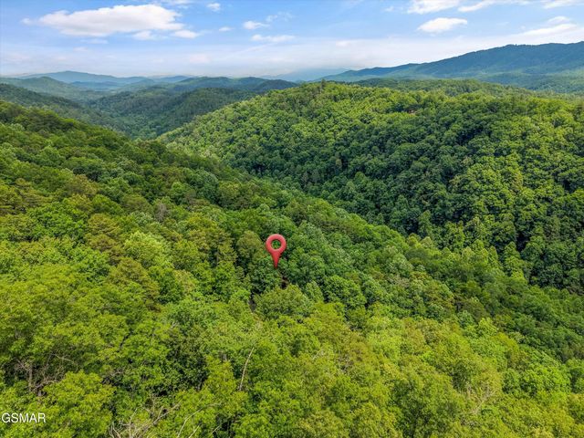 4164 Lumber Jack Way, Sevierville, TN 37876