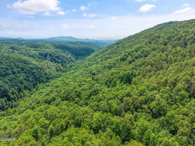 4164 Lumber Jack Way, Sevierville, TN 37876