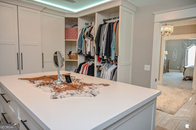 399 Overlook Trail, Williamson, GA 30292