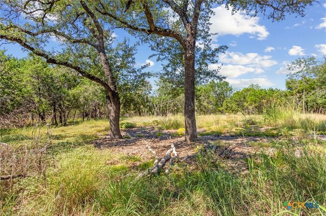 8390 Mountain Drive, Salado, TX 76571