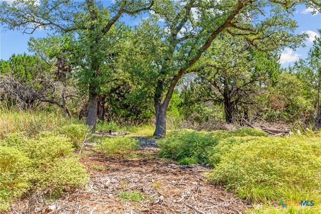 8390 Mountain Drive, Salado, TX 76571