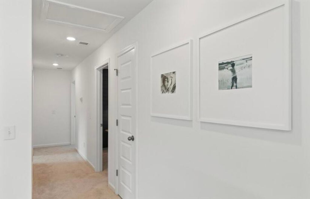 Image 20 of property listing at 1040 Lettered Olive Way, Summerville, SC 29485